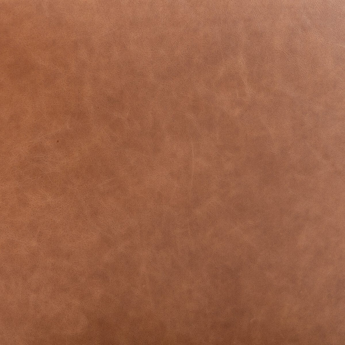 Benton Dining Chair