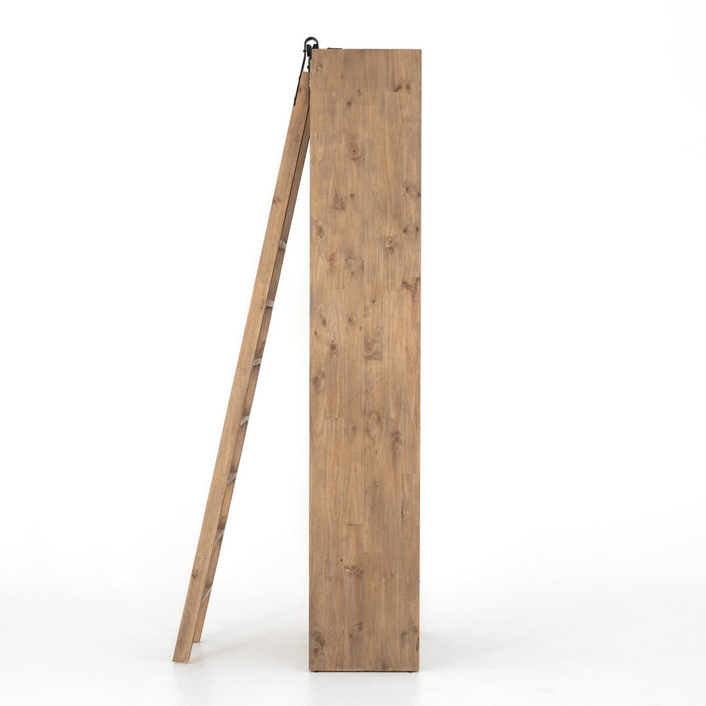 Bane Bookshelf w/ Ladder