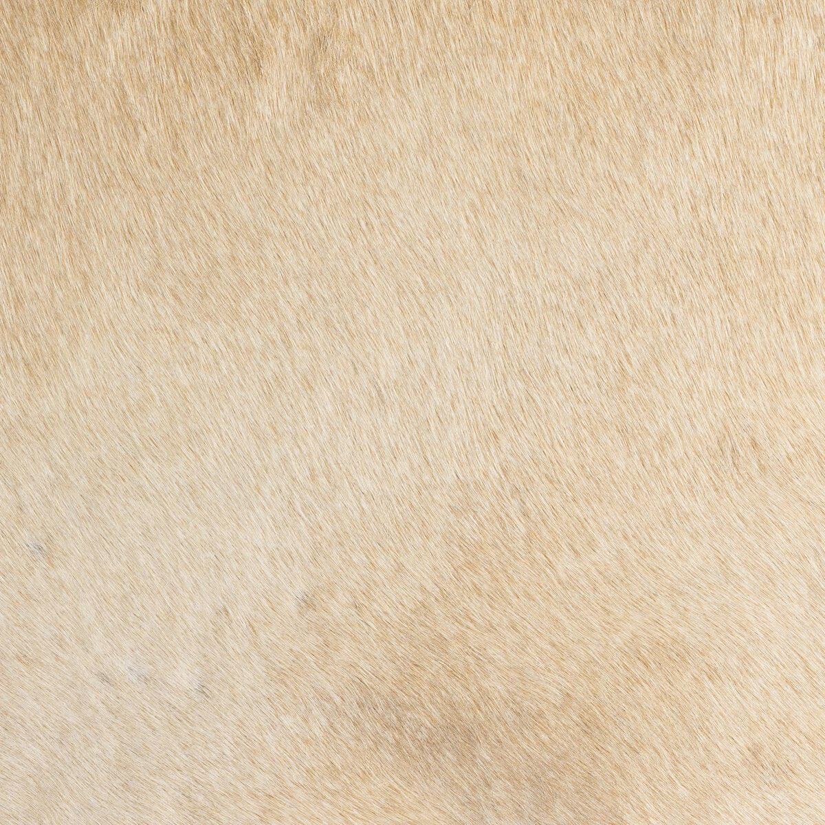 Villa Dining Chair - Palomino Hair On Hide - 224455-003_5