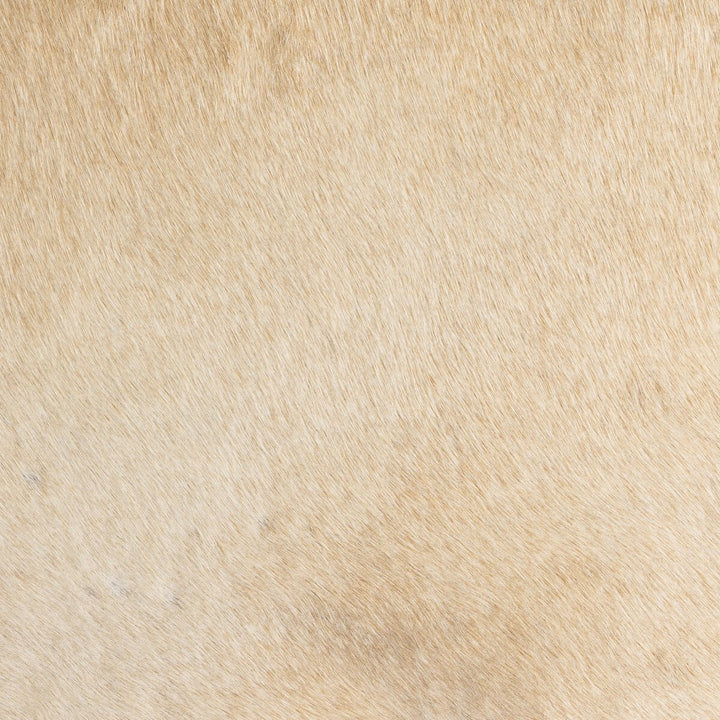 Villa Dining Chair - Palomino Hair On Hide - 224455-003_5