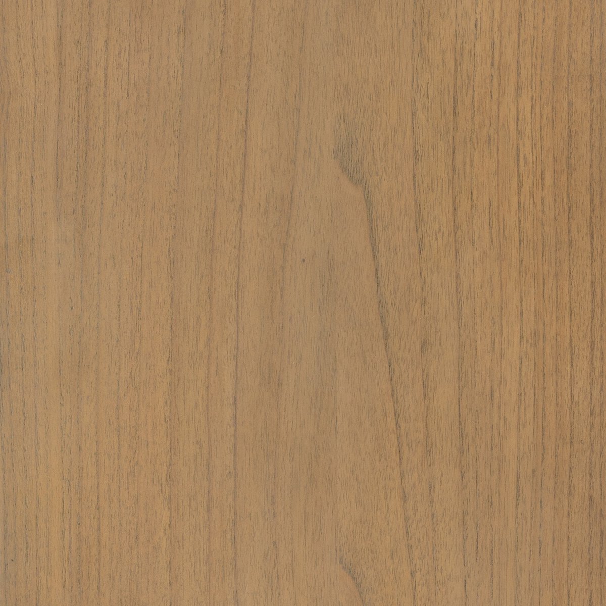 Ilana Cabinet