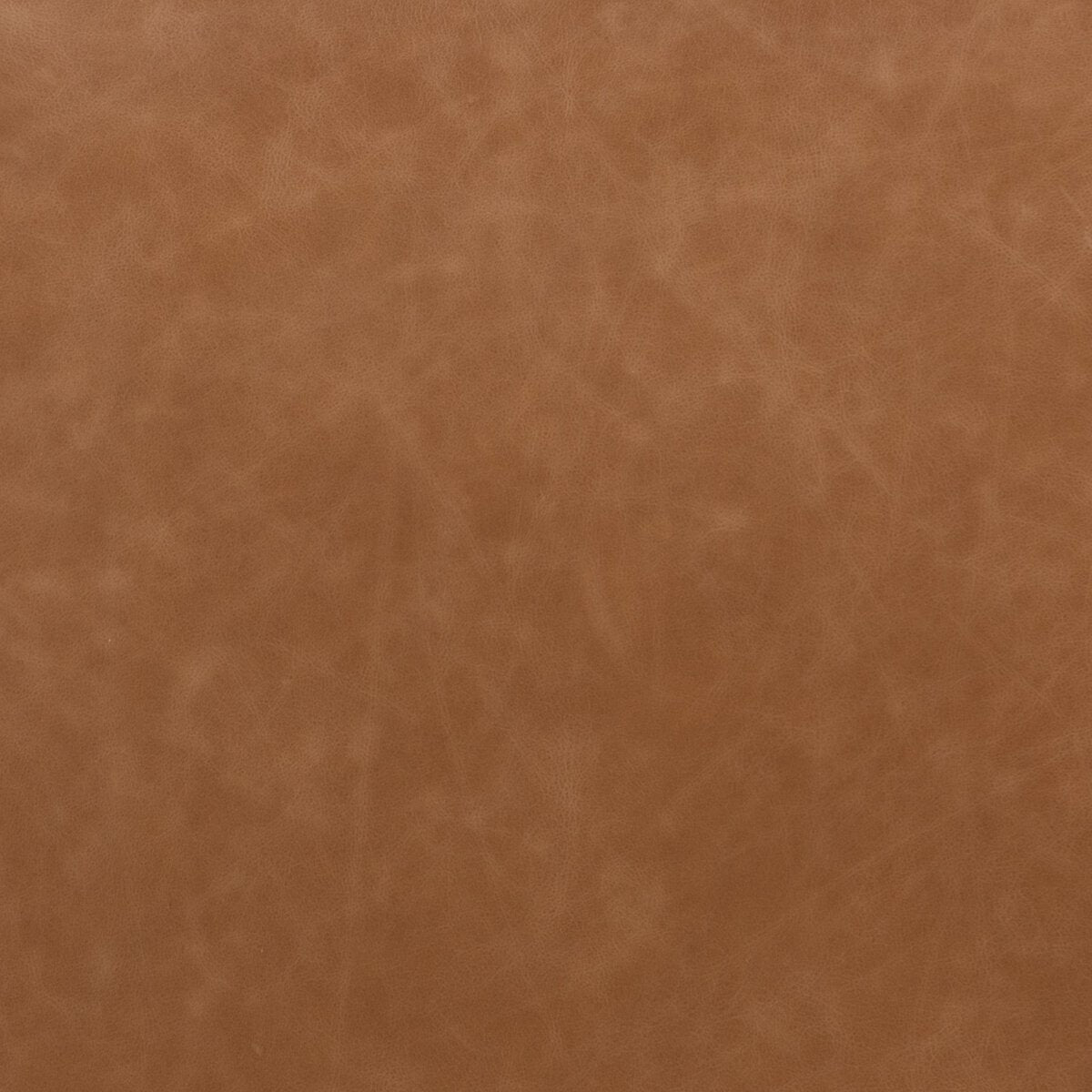 Amare Dining Chair - Sonoma Butterscotch - 227404-001_5