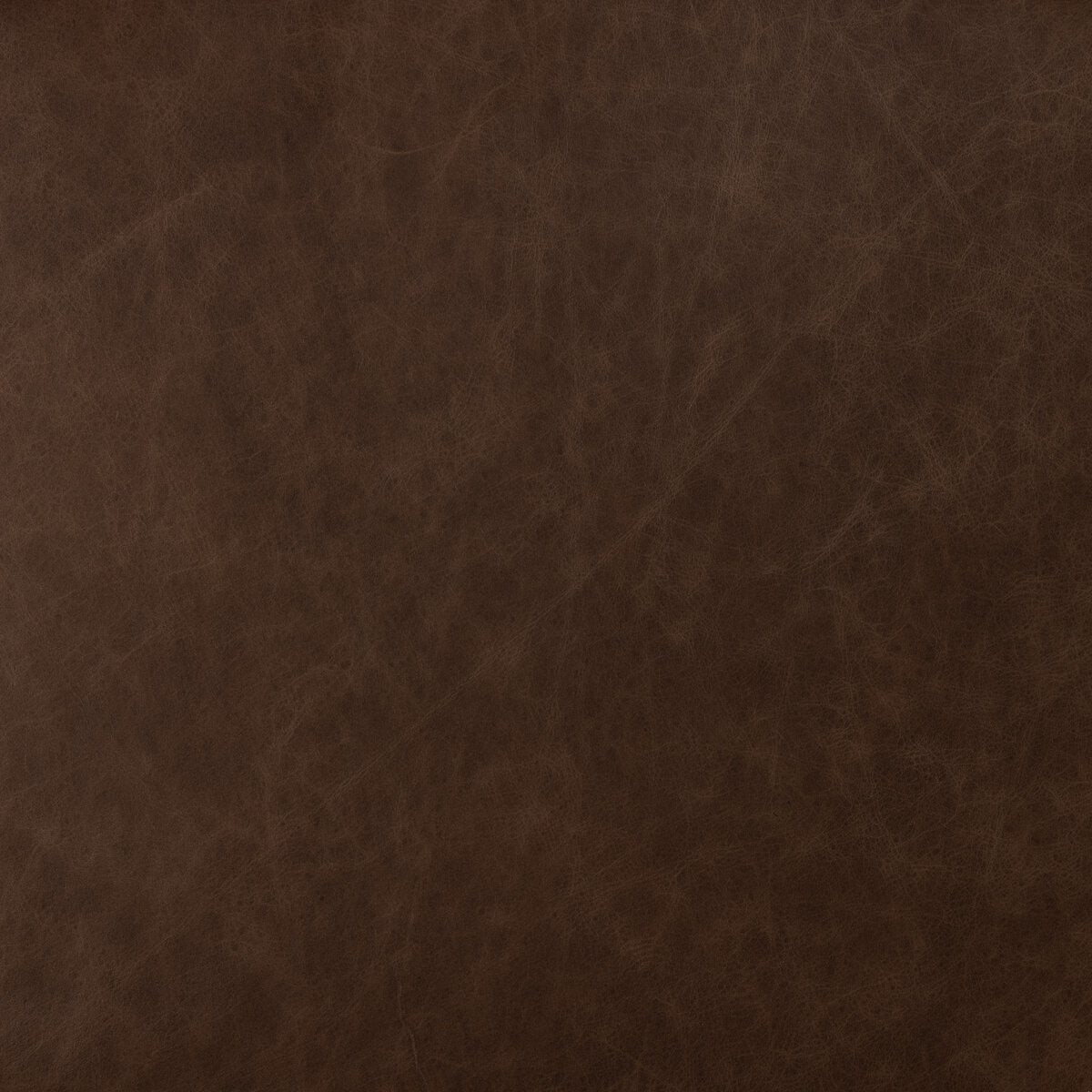 Amare Dining Chair - Sonoma Coco - 227404-003_6
