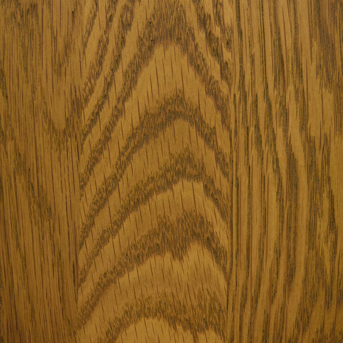 Lewis Windsor Bar + Counter Stool - Sandy Oak - Counter - Lavon Flint - 228387-024_5