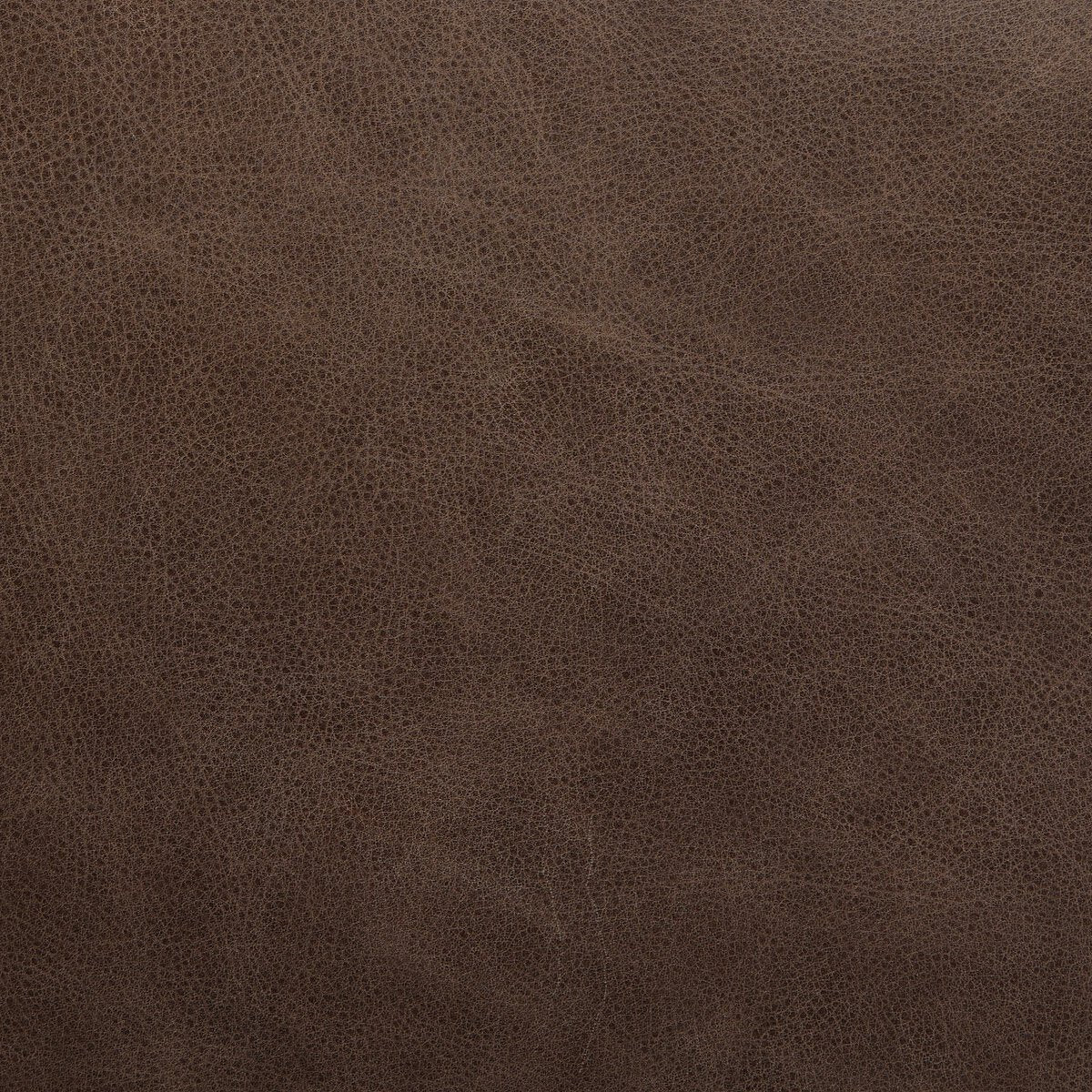 Ferris Dining Armchair - Palermo Cigar - 236325-006_4