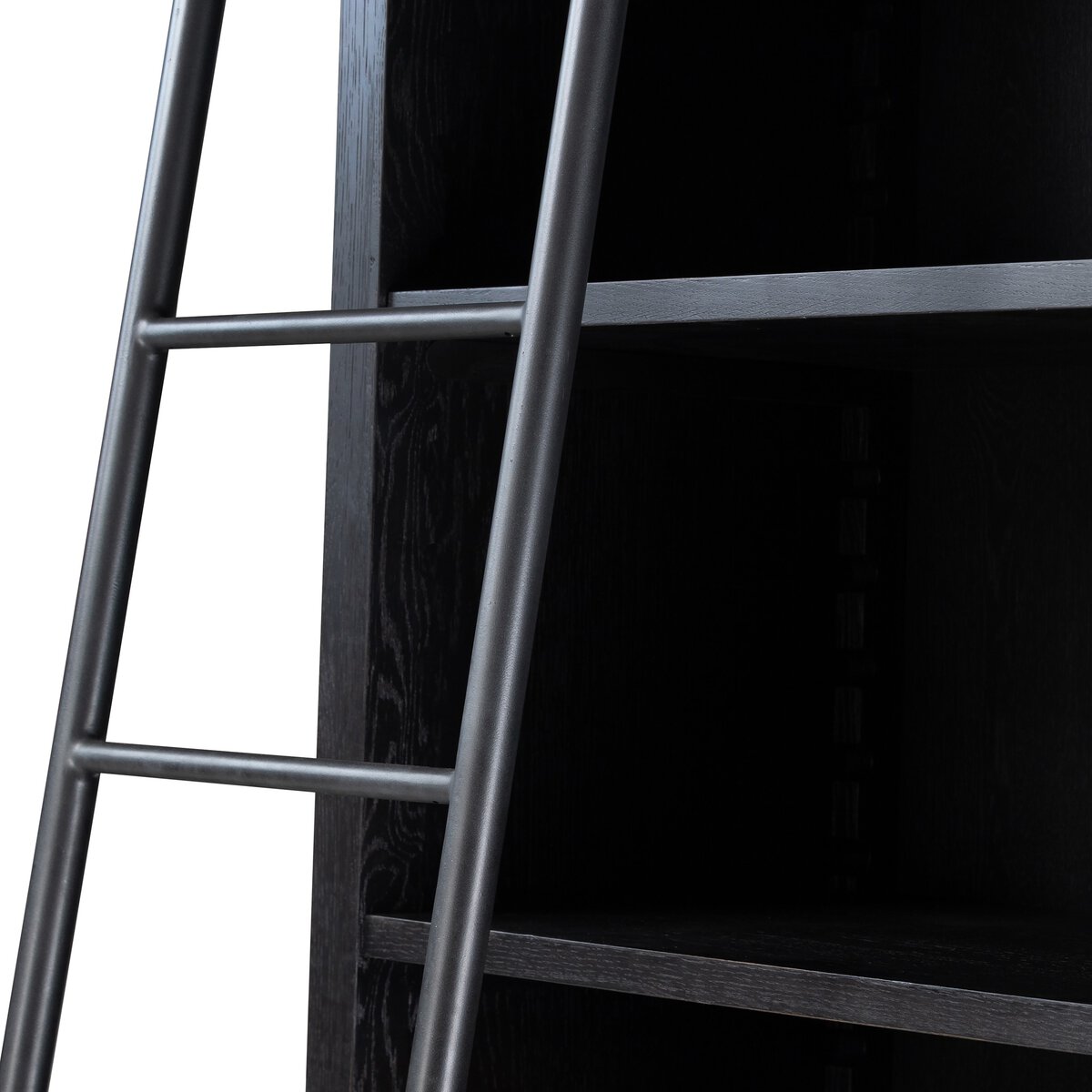 Admont Bookcase and Ladder