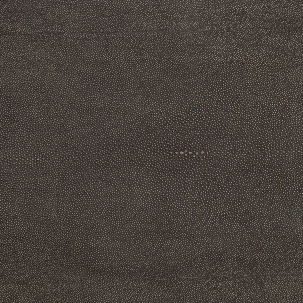 Shagreen Shadow Box Coffee Table