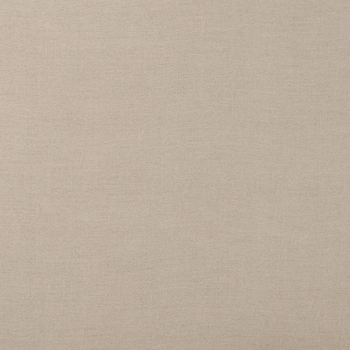 Solid beige color swatch